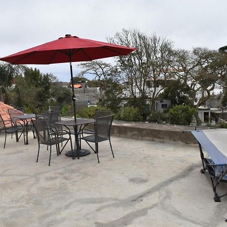 Villa Vicente Vila Nova Sintra Eksteriør bilde