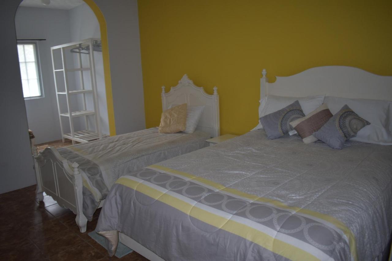 Villa Vicente Vila Nova Sintra Eksteriør bilde